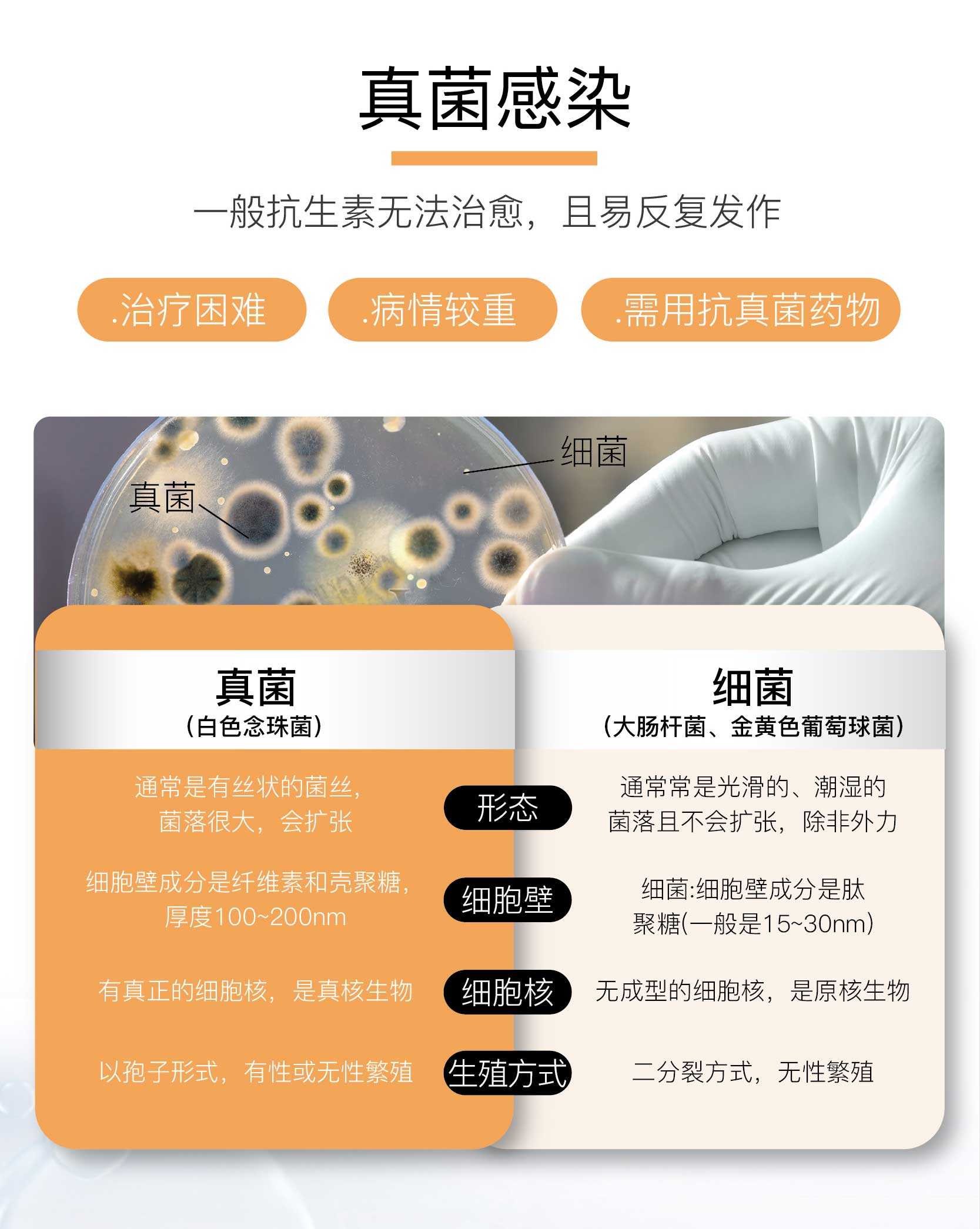 海众消毒液详情页20250513_04.jpg